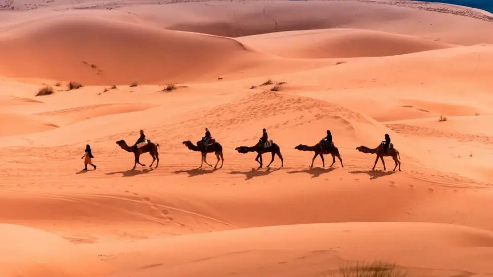 7 DAYS DESERT TOUR FROM OUARZAZATE TO MARRAKECH